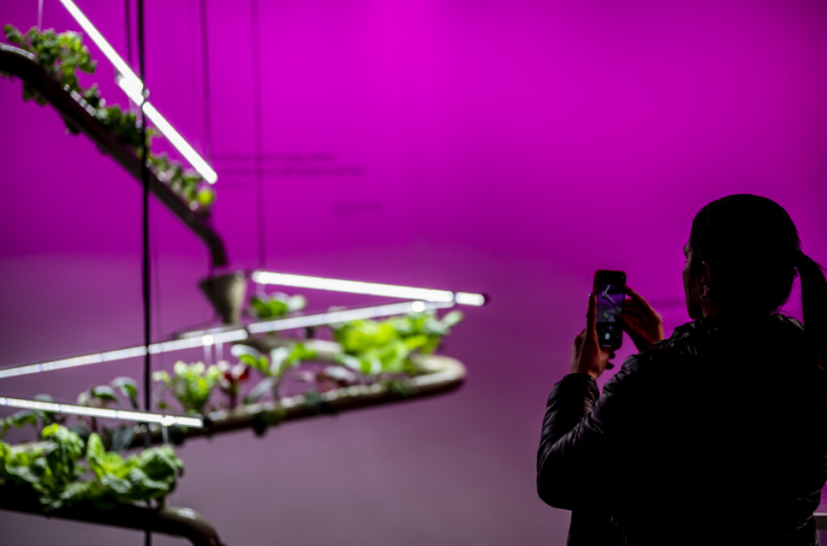 Science Today: Searching for Sustainability
