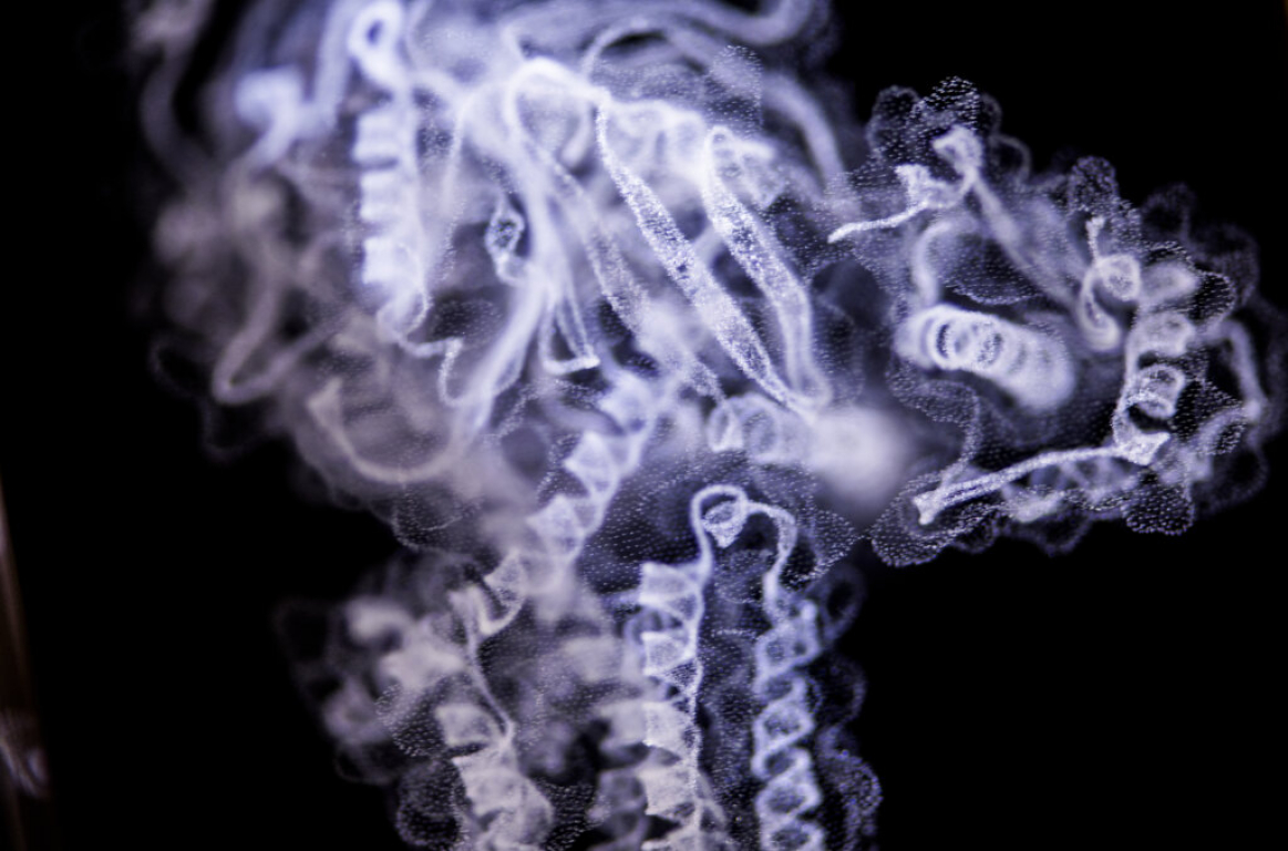 Kvällsvisning - Vad är liv?