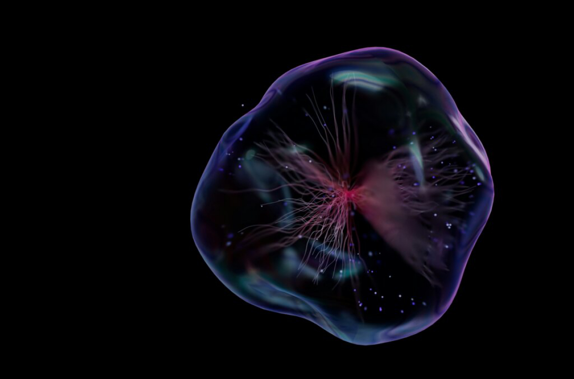 Kvällsvisning: Vad är liv?